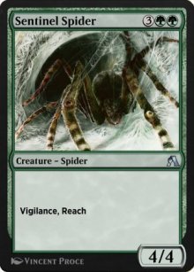 Sentinel Spider - 