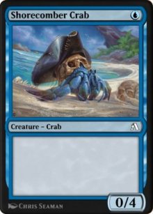 Shorecomber Crab - 