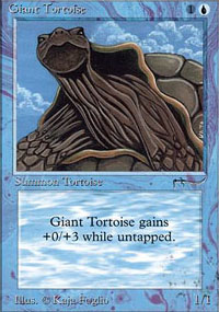 Giant Tortoise - 