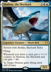 Shabraz, the Skyshark - 