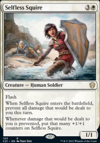 Selfless Squire - 