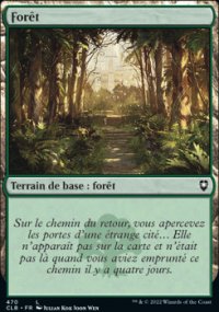 Forêt - 