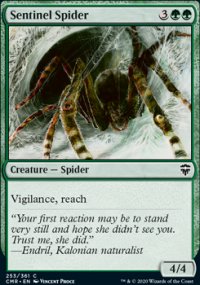 Sentinel Spider - 