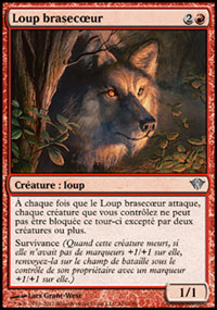 Loup brasecœur - 