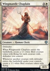 Wingmantle Chaplain - 