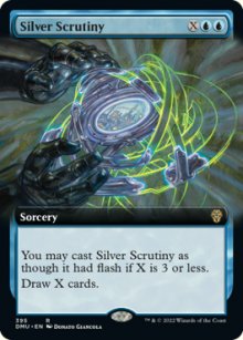 Silver Scrutiny - 