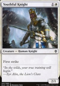 Youthful Knight - 