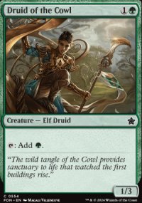 Druid of the Cowl - Foundations