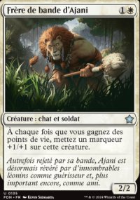 Frre de bande d'Ajani - Foundations