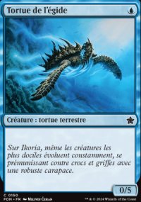 Tortue de l'gide - Foundations