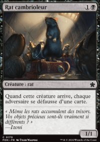 Rat cambrioleur - Foundations