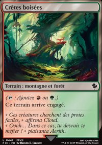 Crtes boises - Final Fantasy Commander Decks