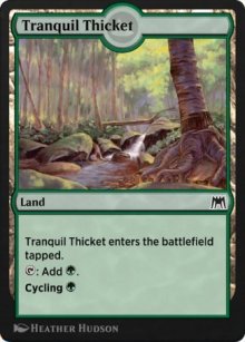 Tranquil Thicket - Historic Anthology 2