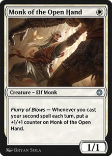 Monk of the Open Hand - 