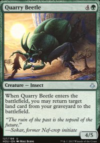Quarry Beetle - 