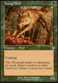 Young Wolf 3 - Innistrad Remastered