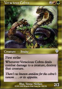 Voracious Cobra - 