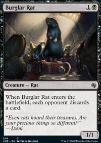 Rat cambrioleur - 