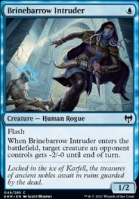 Brinebarrow Intruder - 