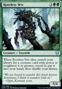 Rootless Yew - 