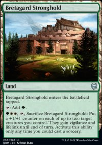 Bretagard Stronghold - 