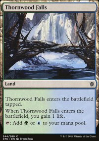 Thornwood Falls - 