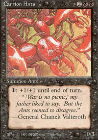 Carrion Ants - 