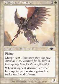 Wingbeat Warrior - 