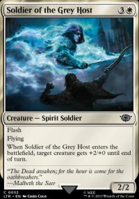 Soldier of the Grey Host - 