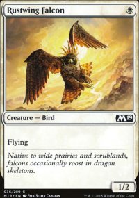 Rustwing Falcon - 