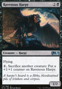 Ravenous Harpy - 