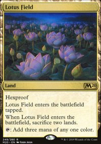 Lotus Field - 