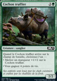 Cochon truffier - 