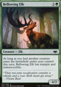 Bellowing Elk - 
