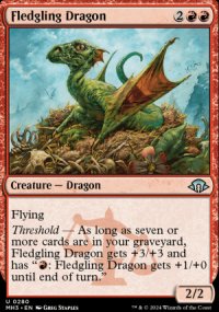 Fledgling Dragon - 