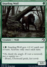 Snarling Wolf - 