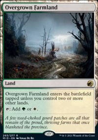 Overgrown Farmland - 