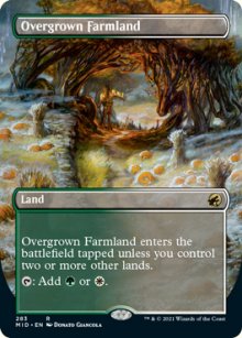 Overgrown Farmland - 