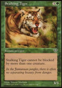 Tigre en chasse - 