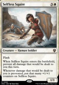 Selfless Squire - 