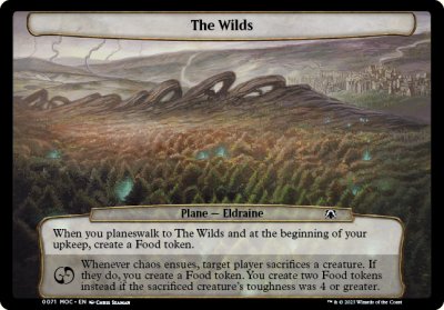 The Wilds - 