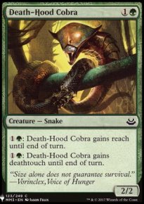 Cobra à camail de mort - 