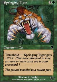 Tigre jaillissant - 