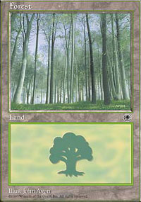 Forest - 
