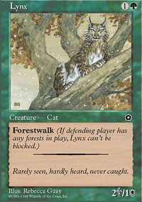 Lynx - 
