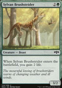 Sylvan Brushstrider - 