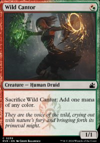 Wild Cantor - 