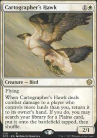 Cartographer's Hawk - 