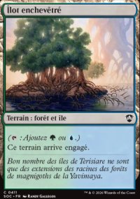 �lot enchev�tr� - Secrets of Strixhaven Commander Decks