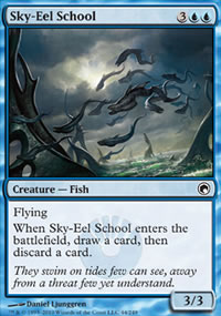 Sky-Eel School - 